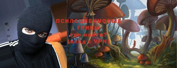 ALPHA PVP Алексеевка