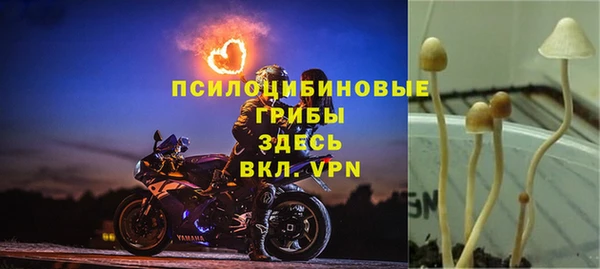 молекула духа Алзамай