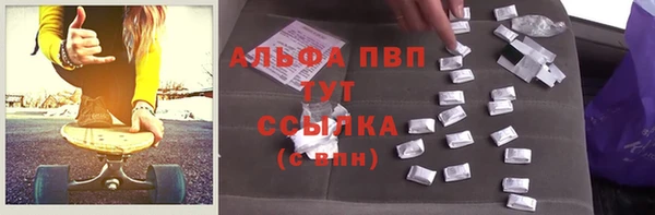 индика Снежинск