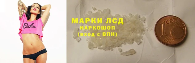 индика Снежинск