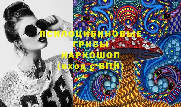 шишки Алексин