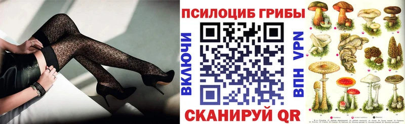 Псилоцибиновые грибы Psilocybe  Берёзовский 