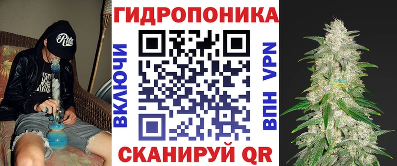 MEGA как зайти Берёзовский Марихуана план